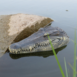 Crocodile Head Remote Control  Boat