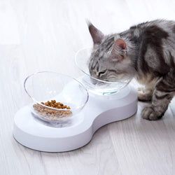 Healthy Bowl - Anti-Vomiting Tilted Elevated Pet Bowl Set