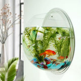 Wallium - Wall Mounted Acrylic Fish Bowl