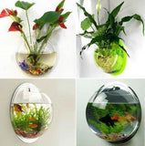 Wallium - Wall Mounted Acrylic Fish Bowl