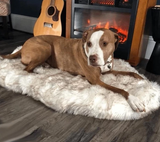 Pup FurBed - Orthopedic Dog Bed with Vegan Fur Memory Foam