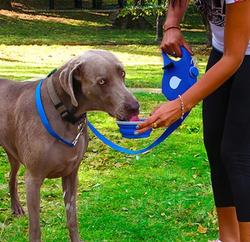 Essential Leash - Multi-functional Dog Leash With Built-in Water Bottle, Bowl & Waste Bag Dispenser