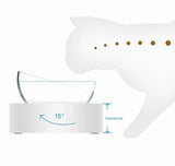 Healthy Bowl - Anti-Vomiting Tilted Elevated Pet Bowl Set