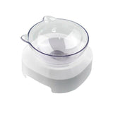 Healthy Bowl - Anti-Vomiting Tilted Elevated Pet Bowl Set