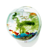 Wallium - Wall Mounted Acrylic Fish Bowl