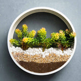 WallVee - Creative Round Wall Mounted Vase