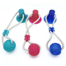 Active Pet Molar Bite Toy